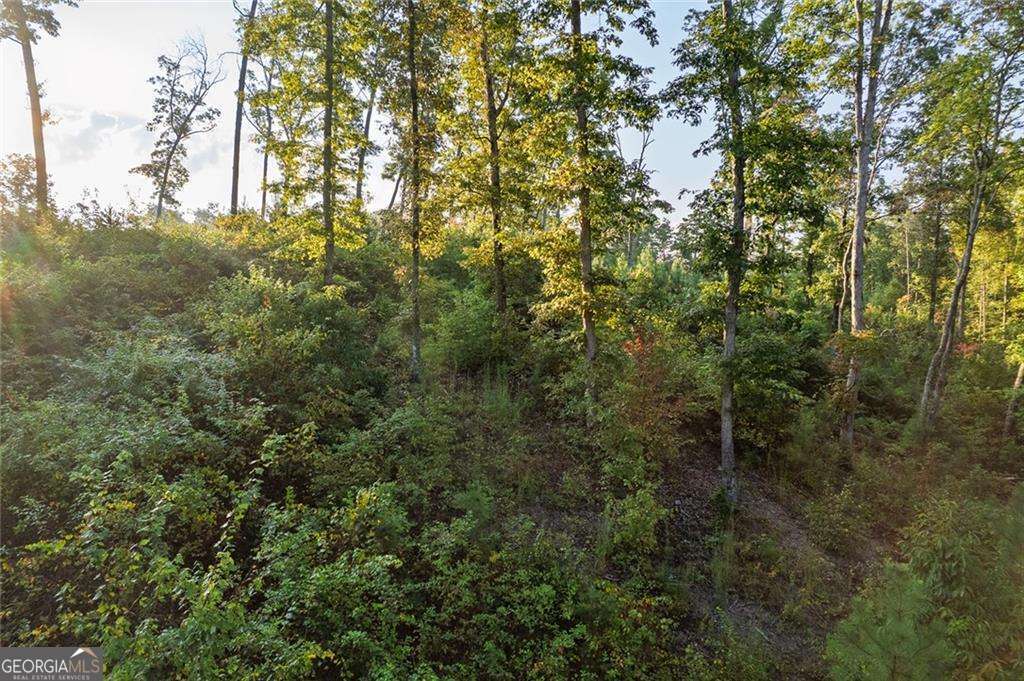 0 High River Road Ellijay GA 30540