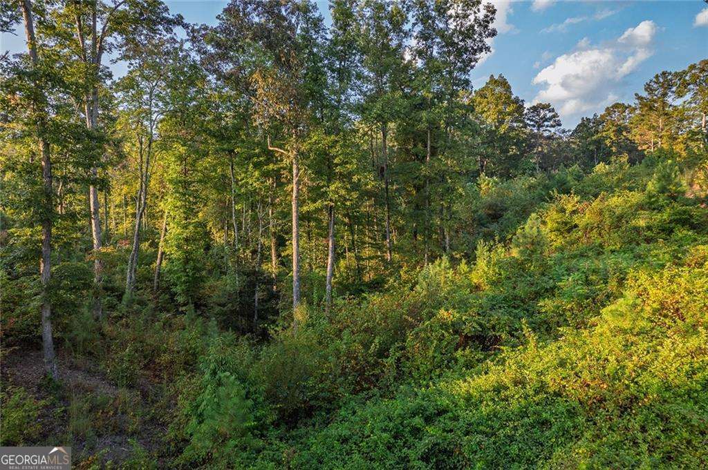 0 High River Road Ellijay GA 30540