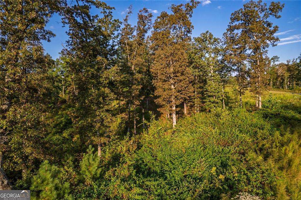 0 High River Road Ellijay GA 30540