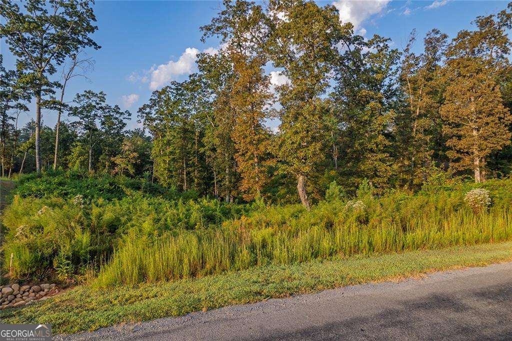 0 High River Road Ellijay GA 30540