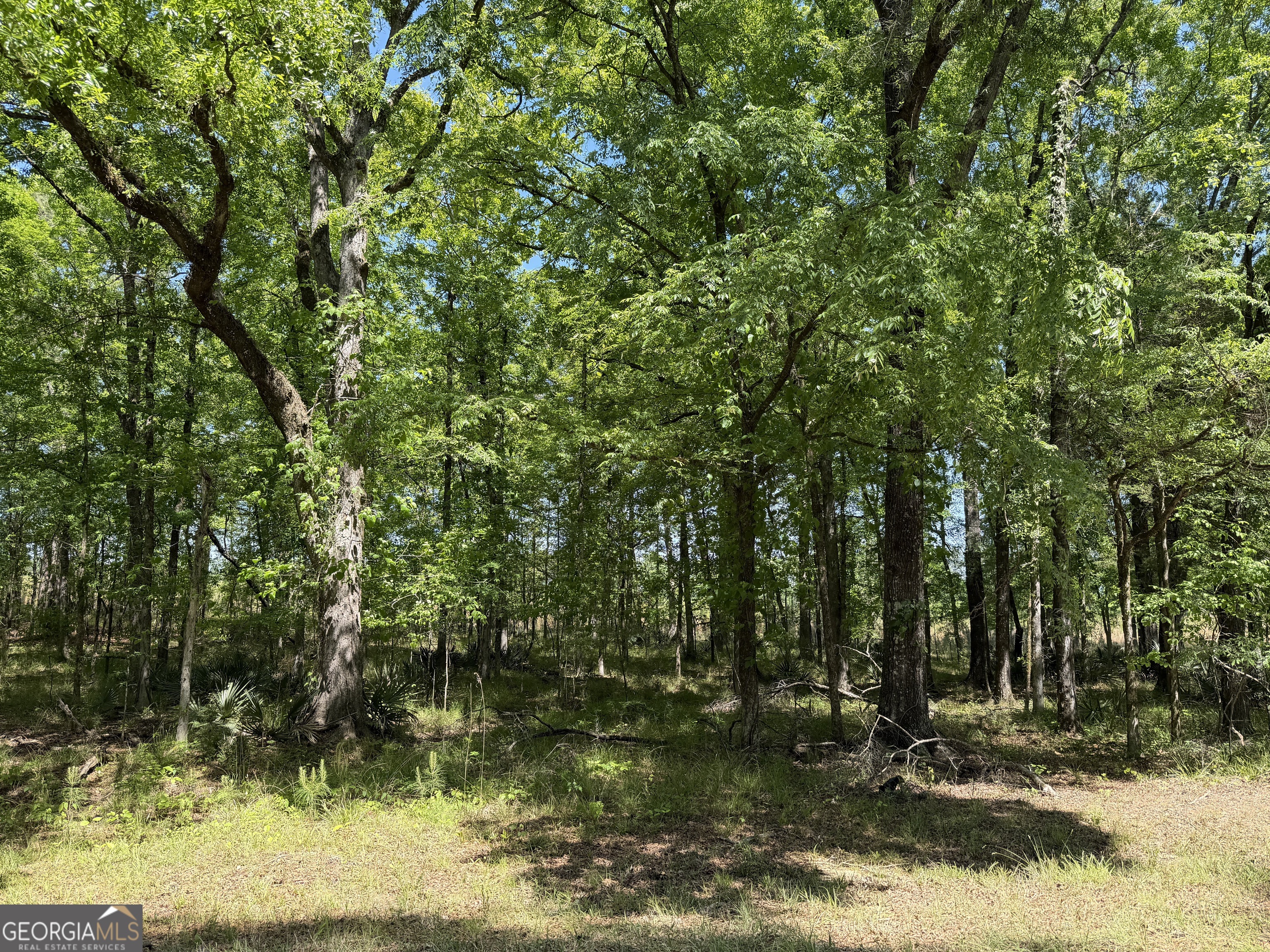 1000 Hidden Harbor Road Lincolnton GA 30817
