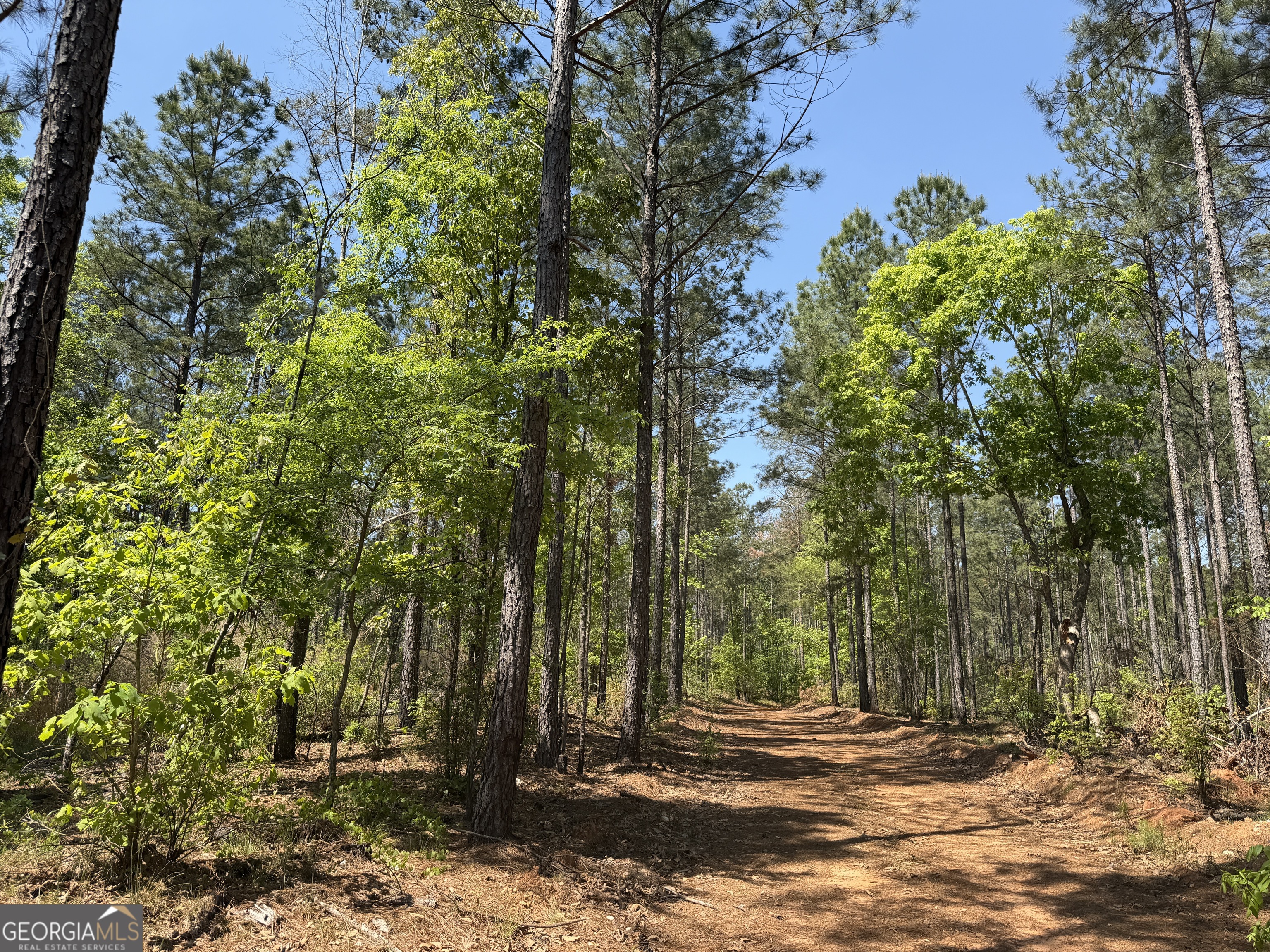 1000 Hidden Harbor Road Lincolnton GA 30817