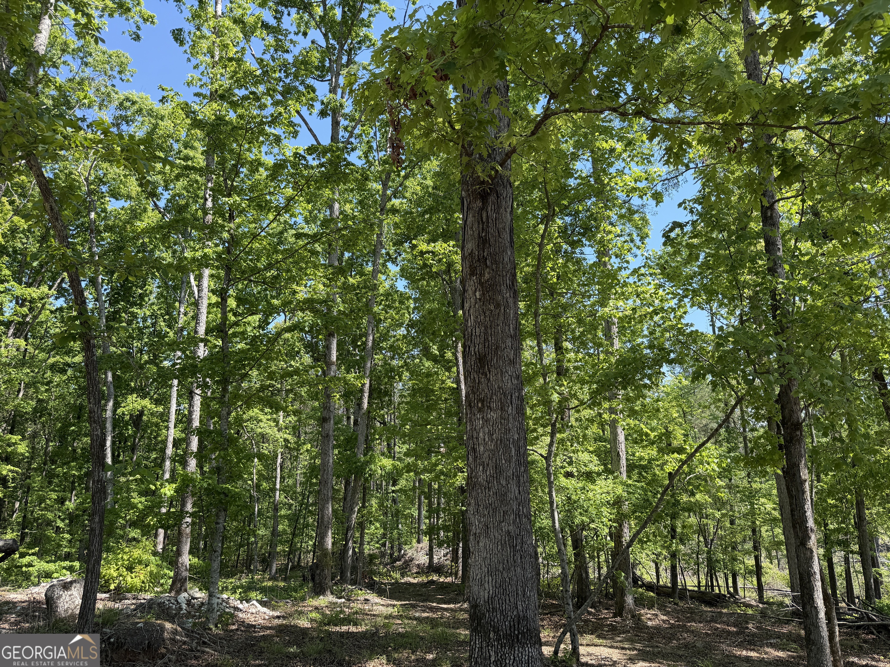 1000 Hidden Harbor Road Lincolnton GA 30817