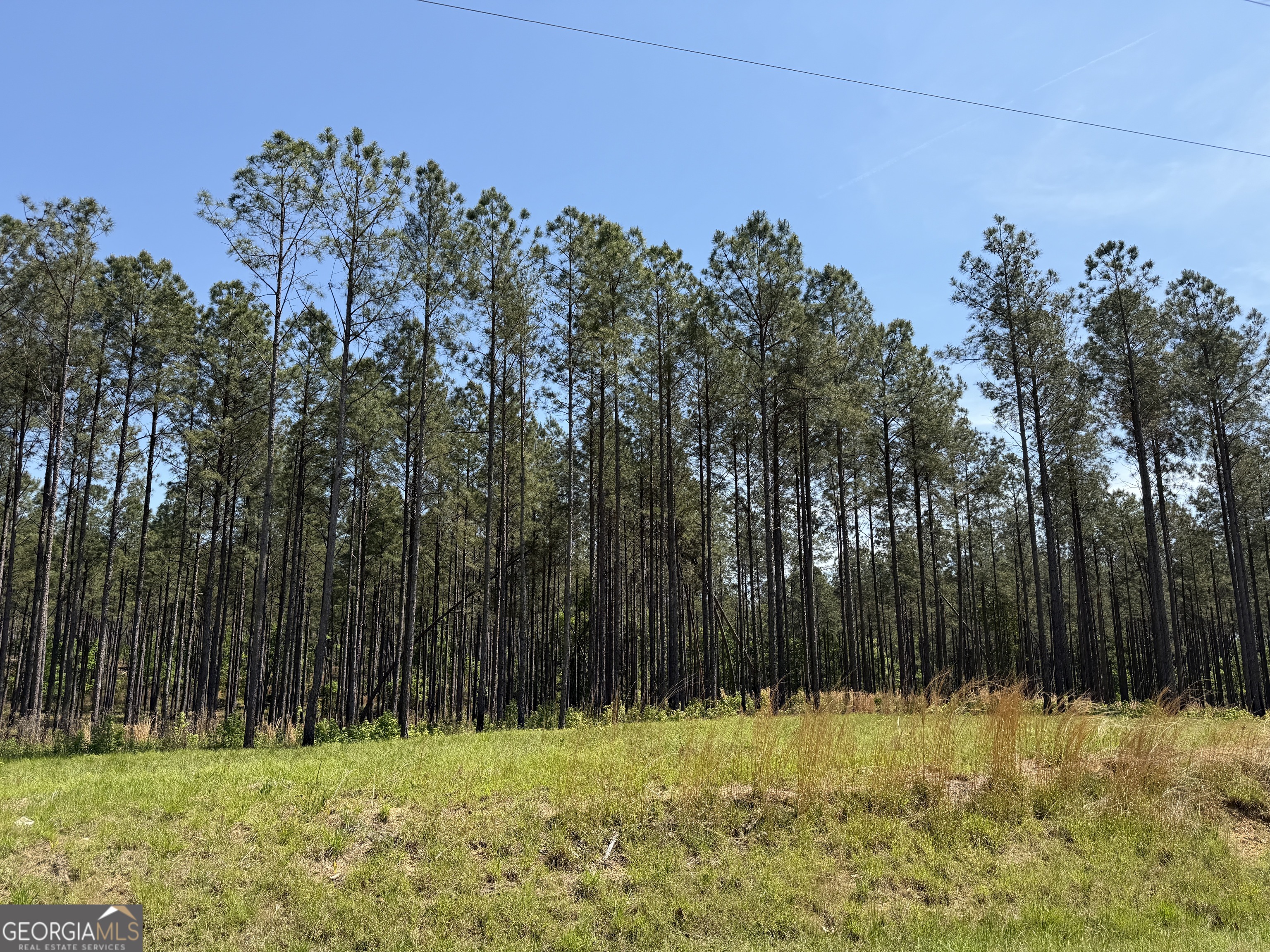 1000 Hidden Harbor Road Lincolnton GA 30817