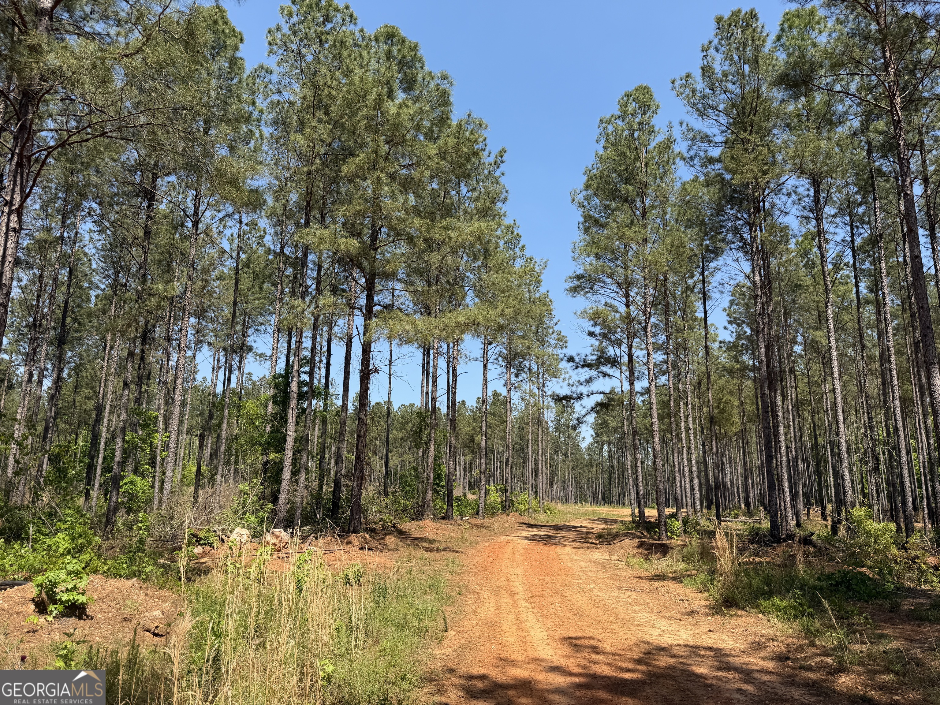 1000 Hidden Harbor Road Lincolnton GA 30817