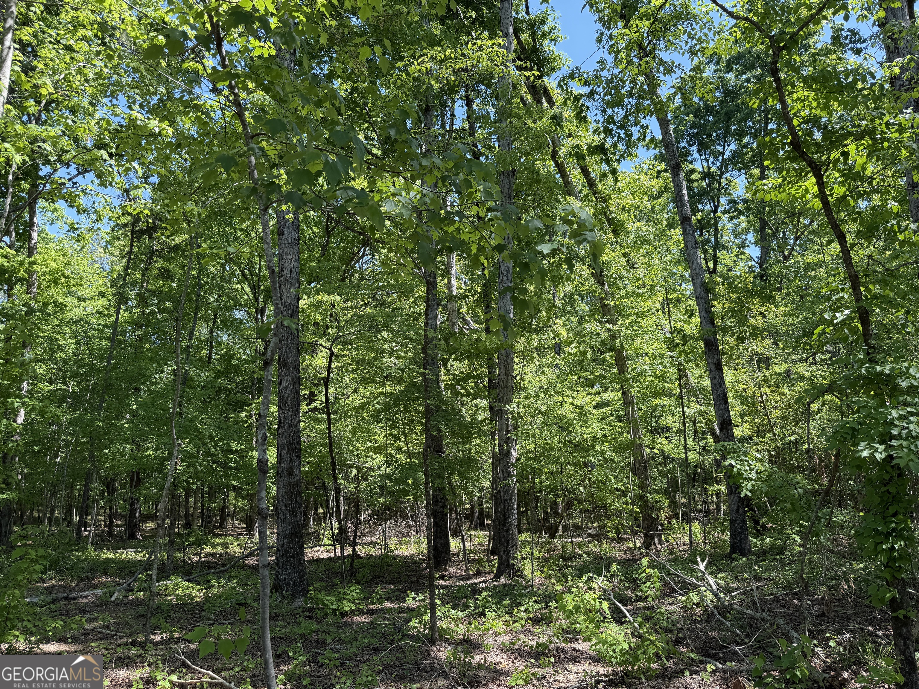 1000 Hidden Harbor Road Lincolnton GA 30817