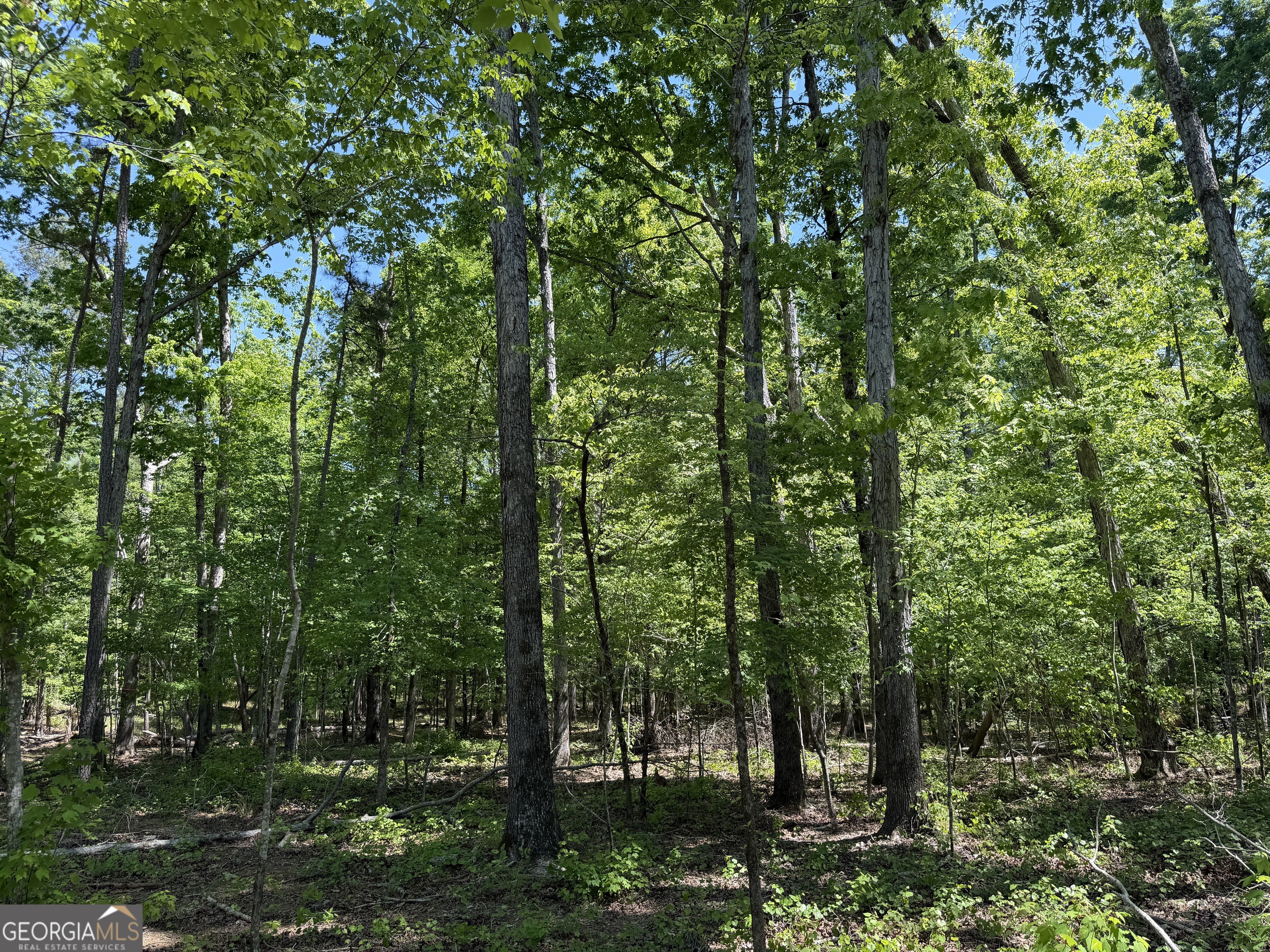 1000 Hidden Harbor Road Lincolnton GA 30817
