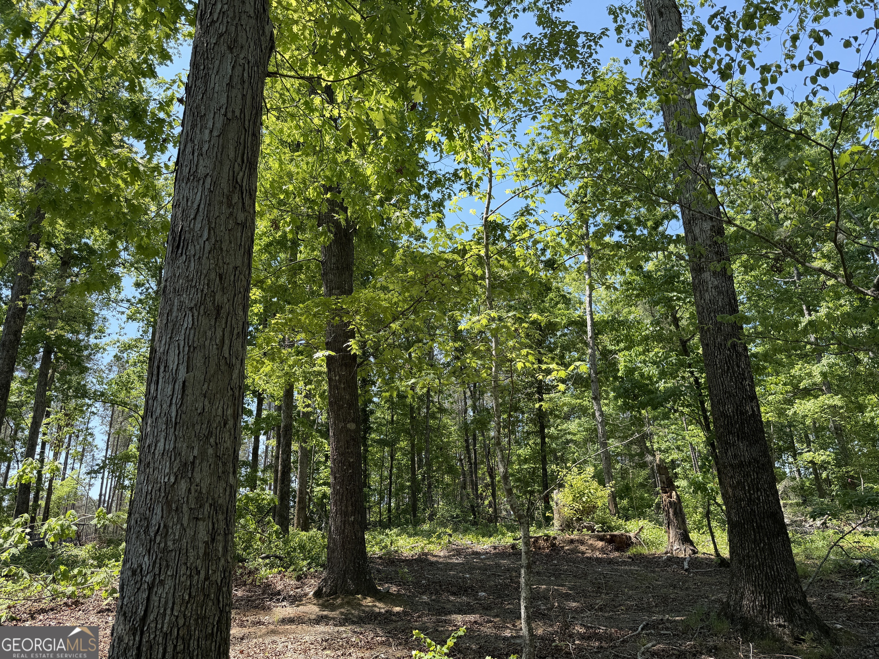 1000 Hidden Harbor Road Lincolnton GA 30817