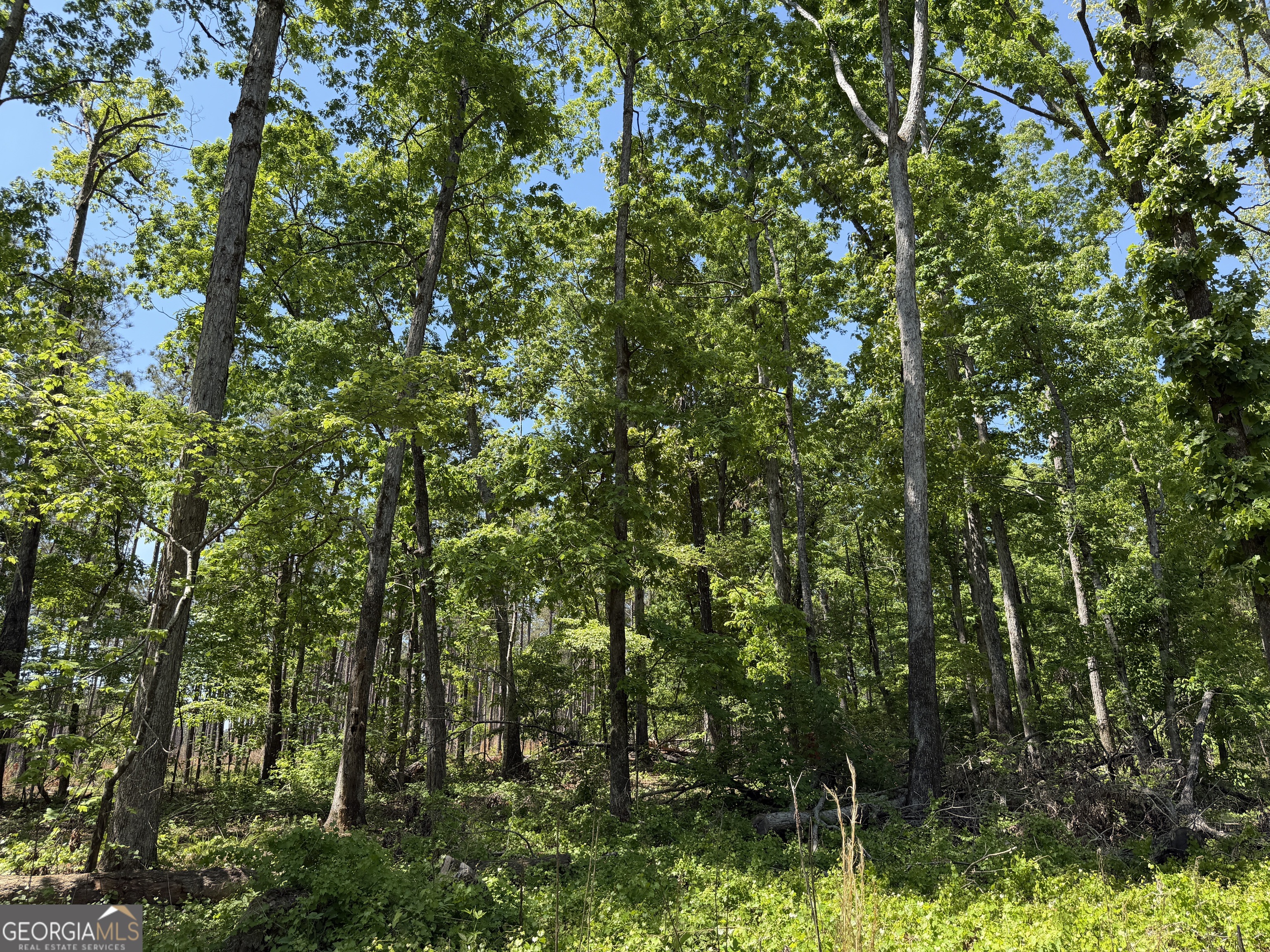1000 Hidden Harbor Road Lincolnton GA 30817