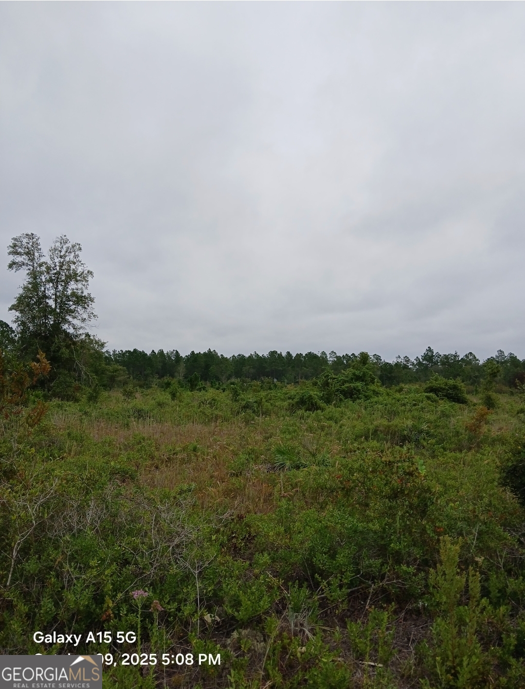 0 (LOT 5) Dogwood Lane Folkston GA 31537