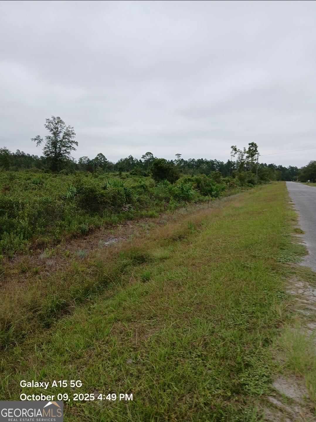 0 (LOT 5) Dogwood Lane Folkston GA 31537