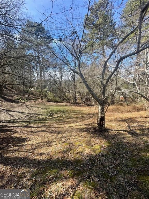 4675 Riveredge Cove Snellville GA 30039