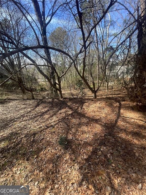 4675 Riveredge Cove Snellville GA 30039