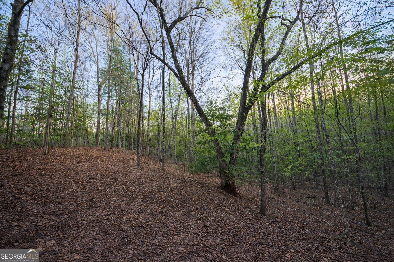 Lot 5 Riverbend Manor Blue Ridge GA 30513