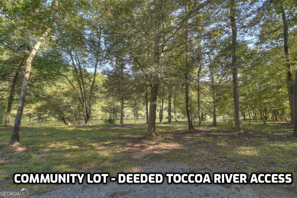 Lot 5 Riverbend Manor Blue Ridge GA 30513