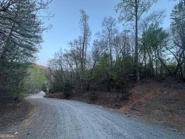 Lot 5 Riverbend Manor Blue Ridge GA 30513