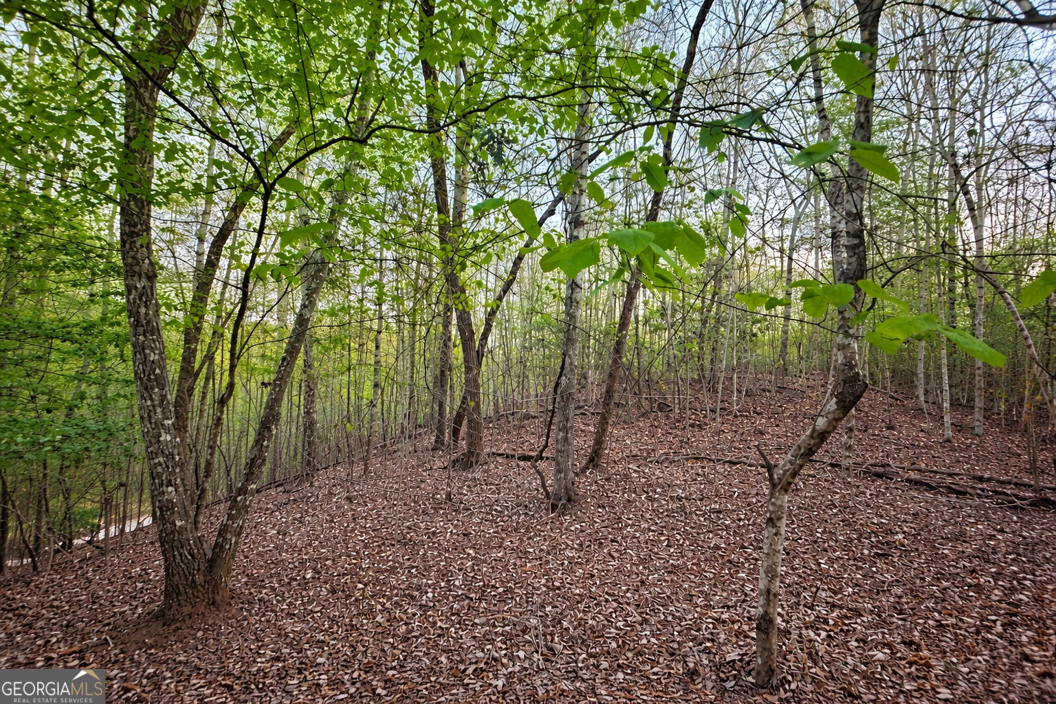 Lot 5 Riverbend Manor Blue Ridge GA 30513