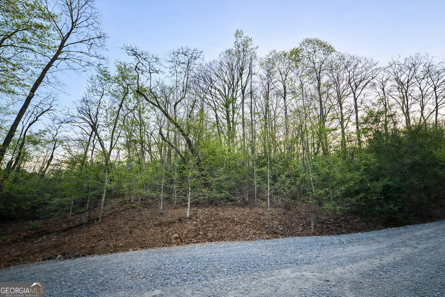Lot 5 Riverbend Manor Blue Ridge GA 30513