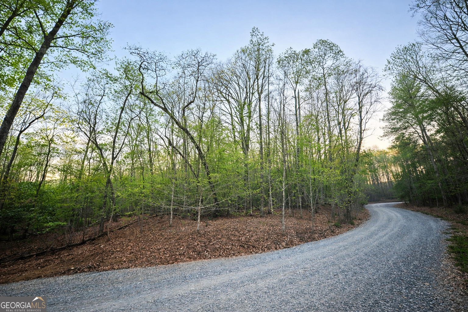 Lot 5 Riverbend Manor Blue Ridge GA 30513