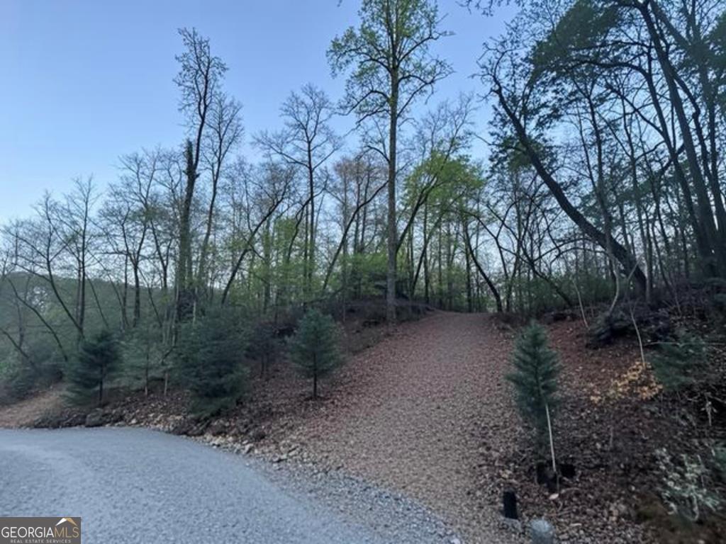 Lot 5 Riverbend Manor Blue Ridge GA 30513
