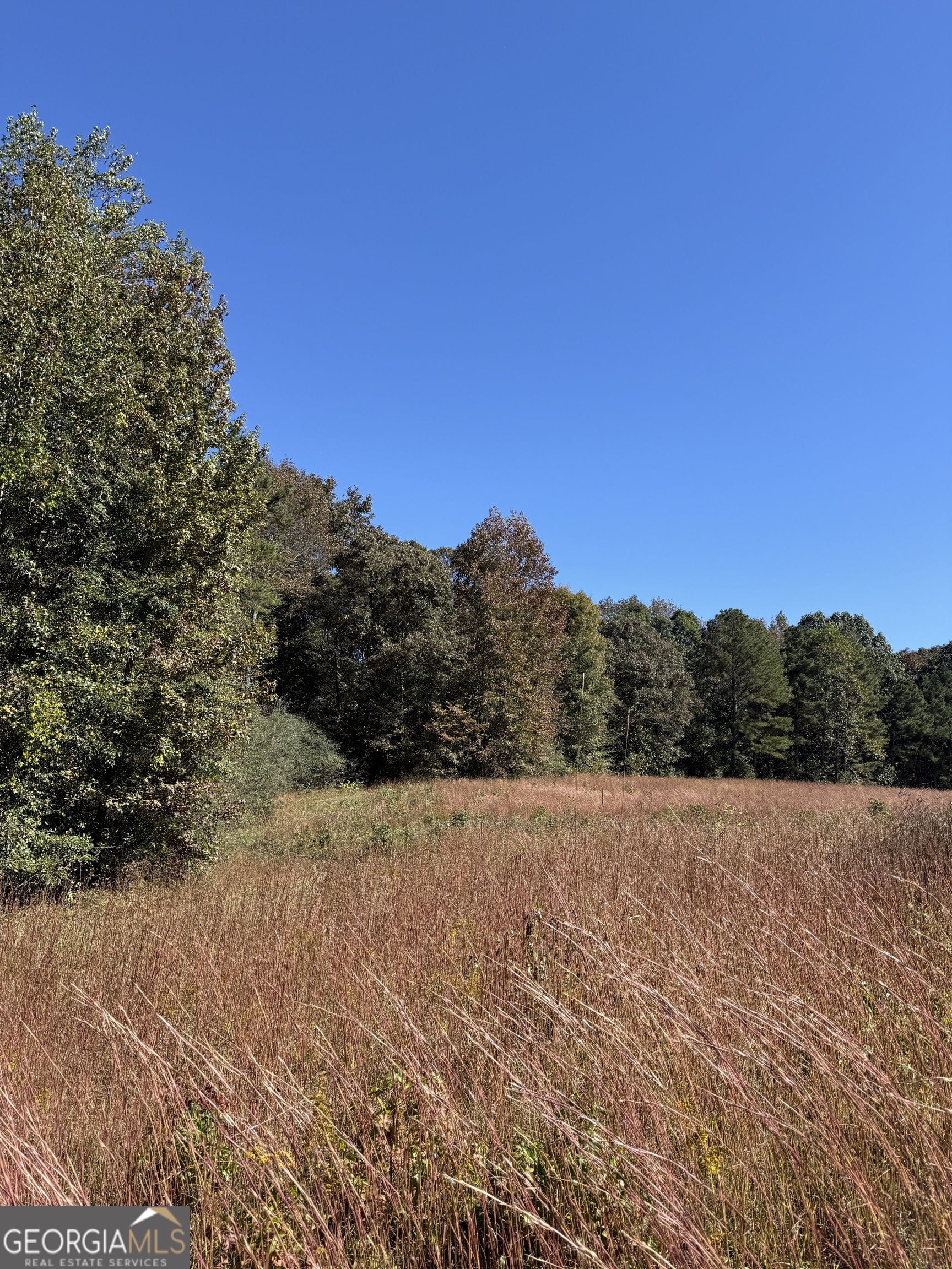 0 Erastus Church Road Commerce GA 30530