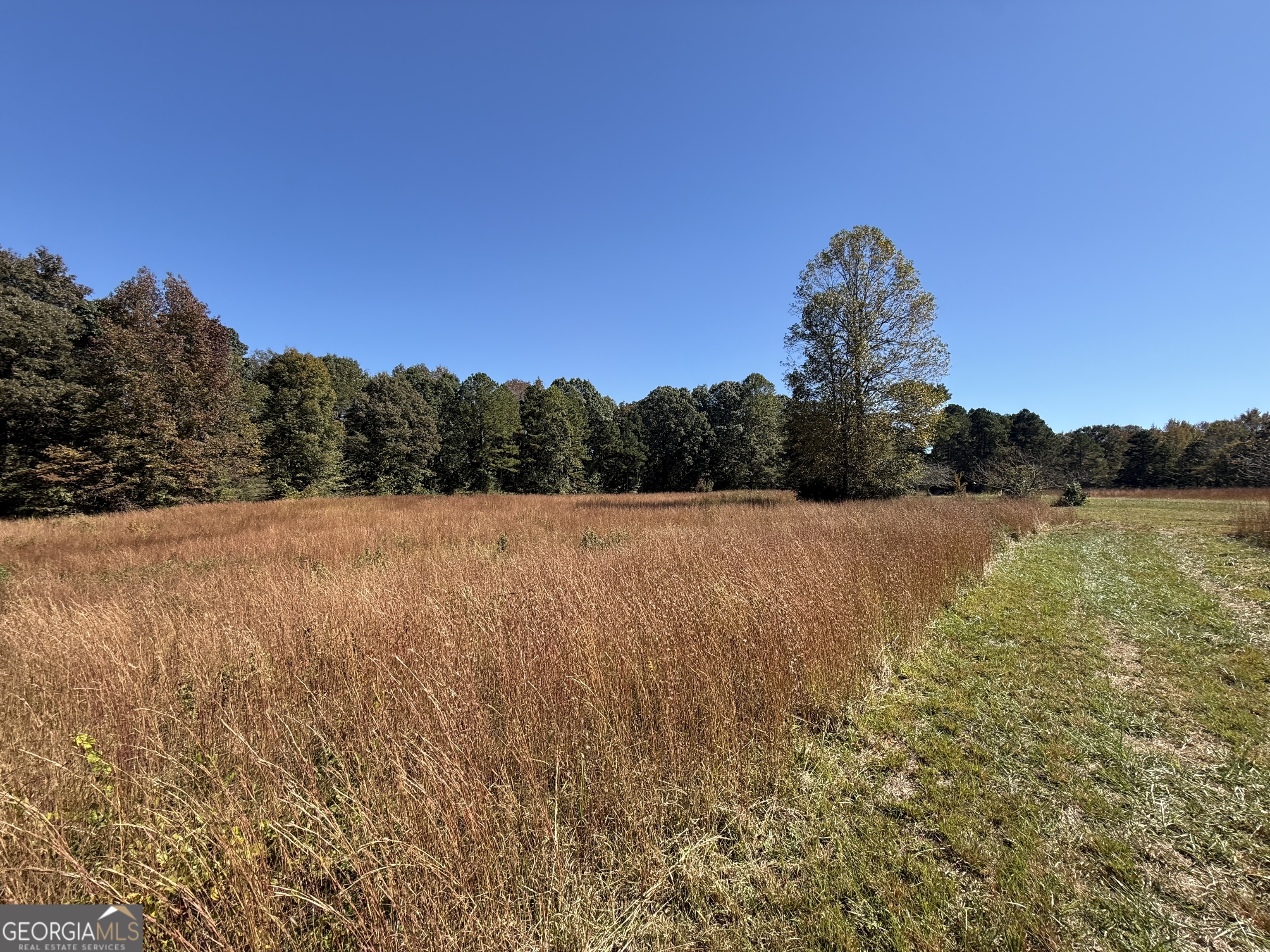 0 Erastus Church Road Commerce GA 30530