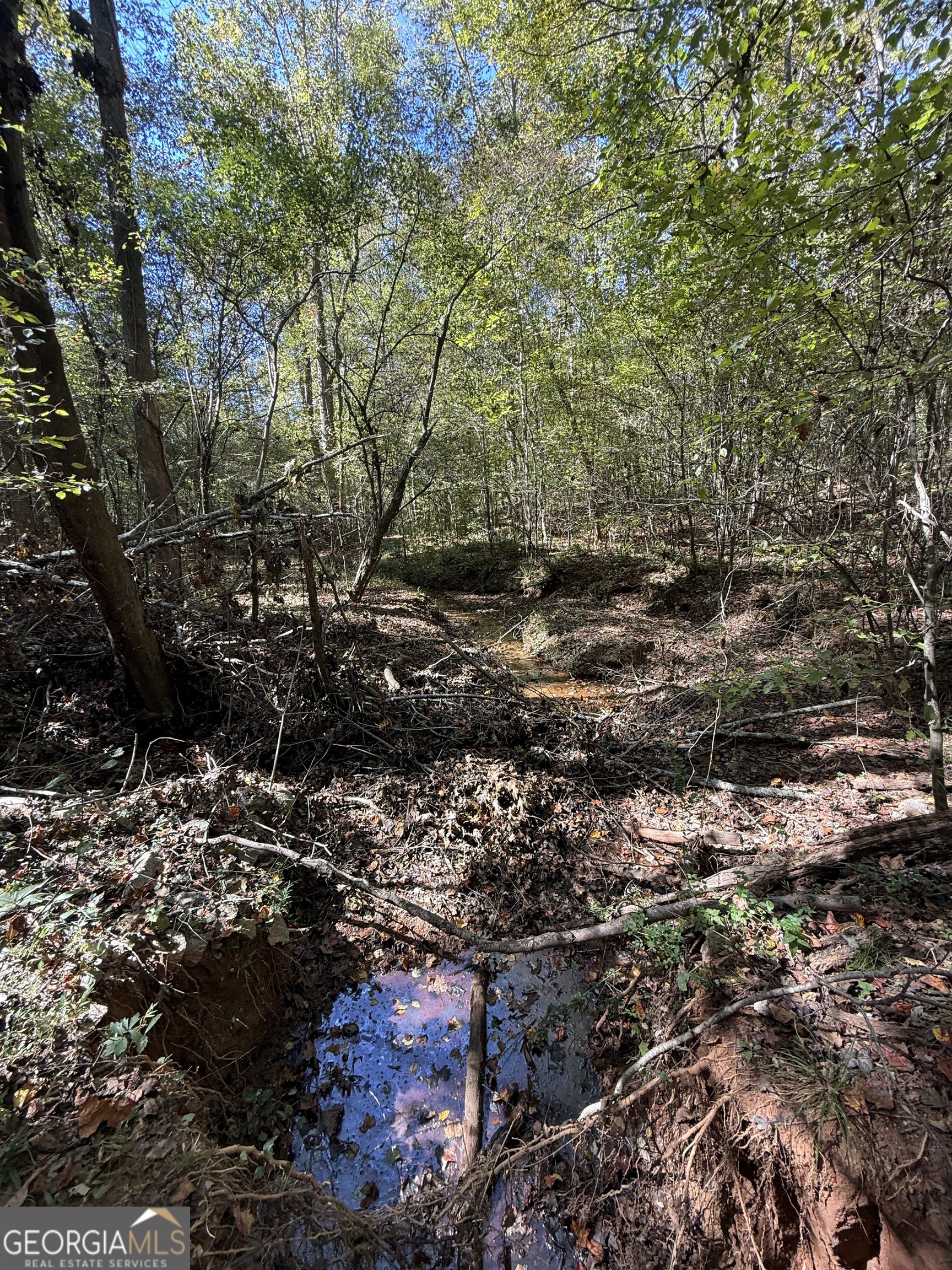 0 Erastus Church Road Commerce GA 30530
