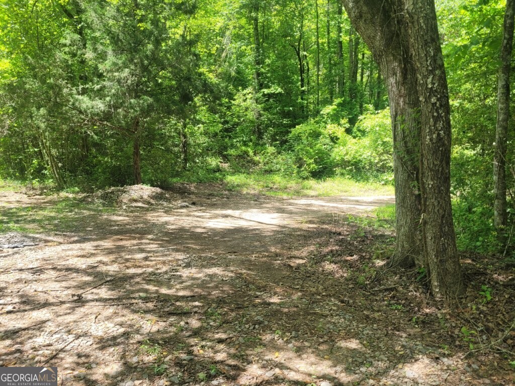 251 Bean Creek Road Sautee Nacoochee GA 30571