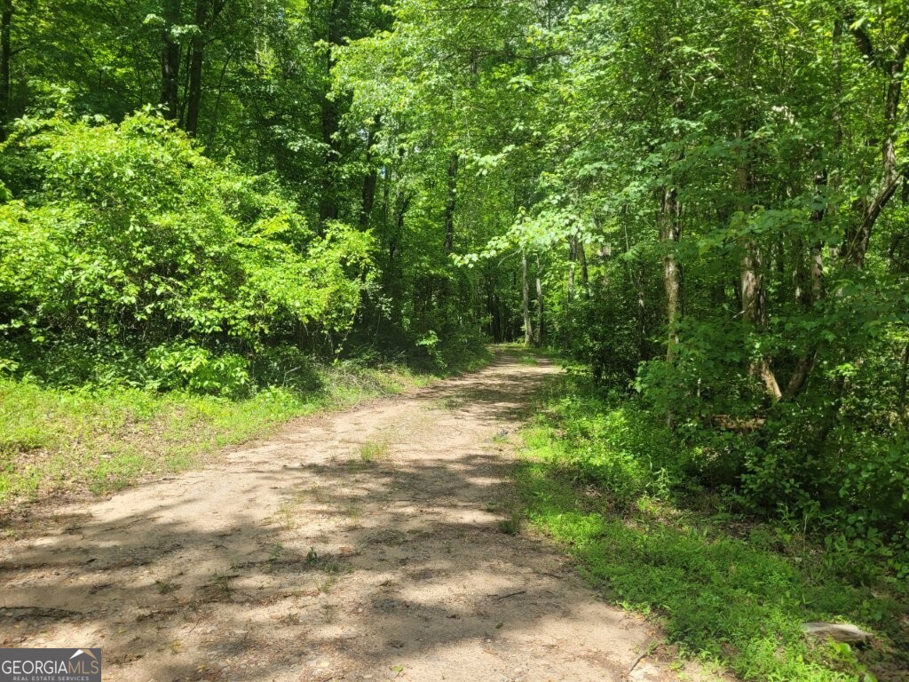 251 Bean Creek Road Sautee Nacoochee GA 30571