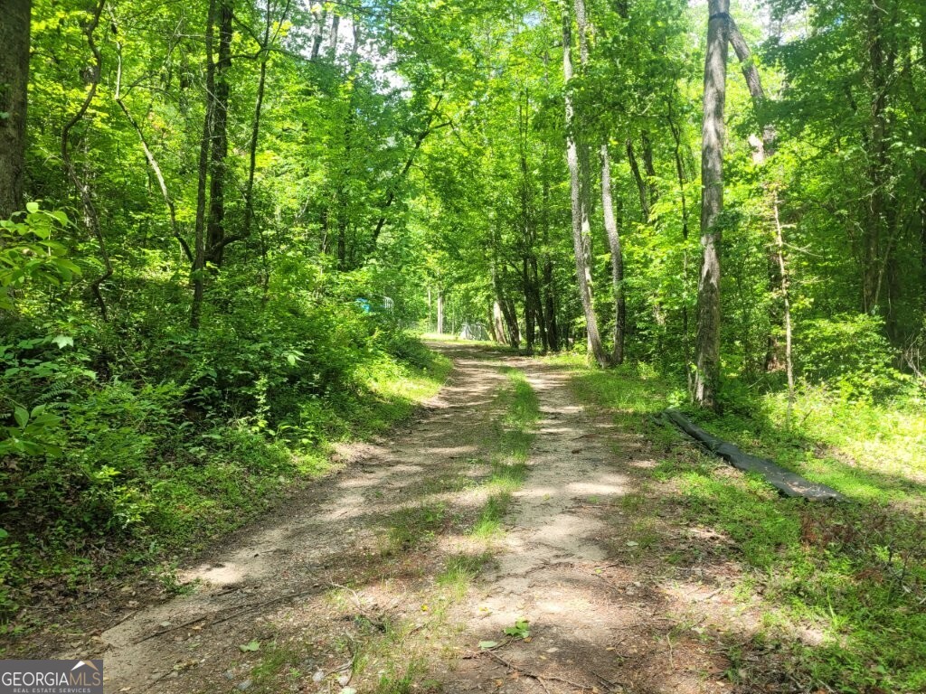 251 Bean Creek Road Sautee Nacoochee GA 30571