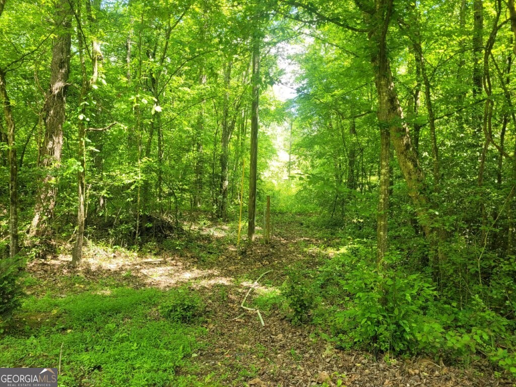 251 Bean Creek Road Sautee Nacoochee GA 30571