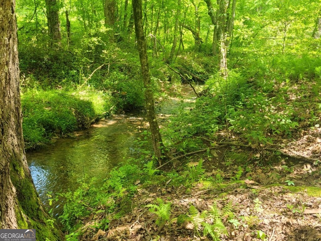 251 Bean Creek Road Sautee Nacoochee GA 30571