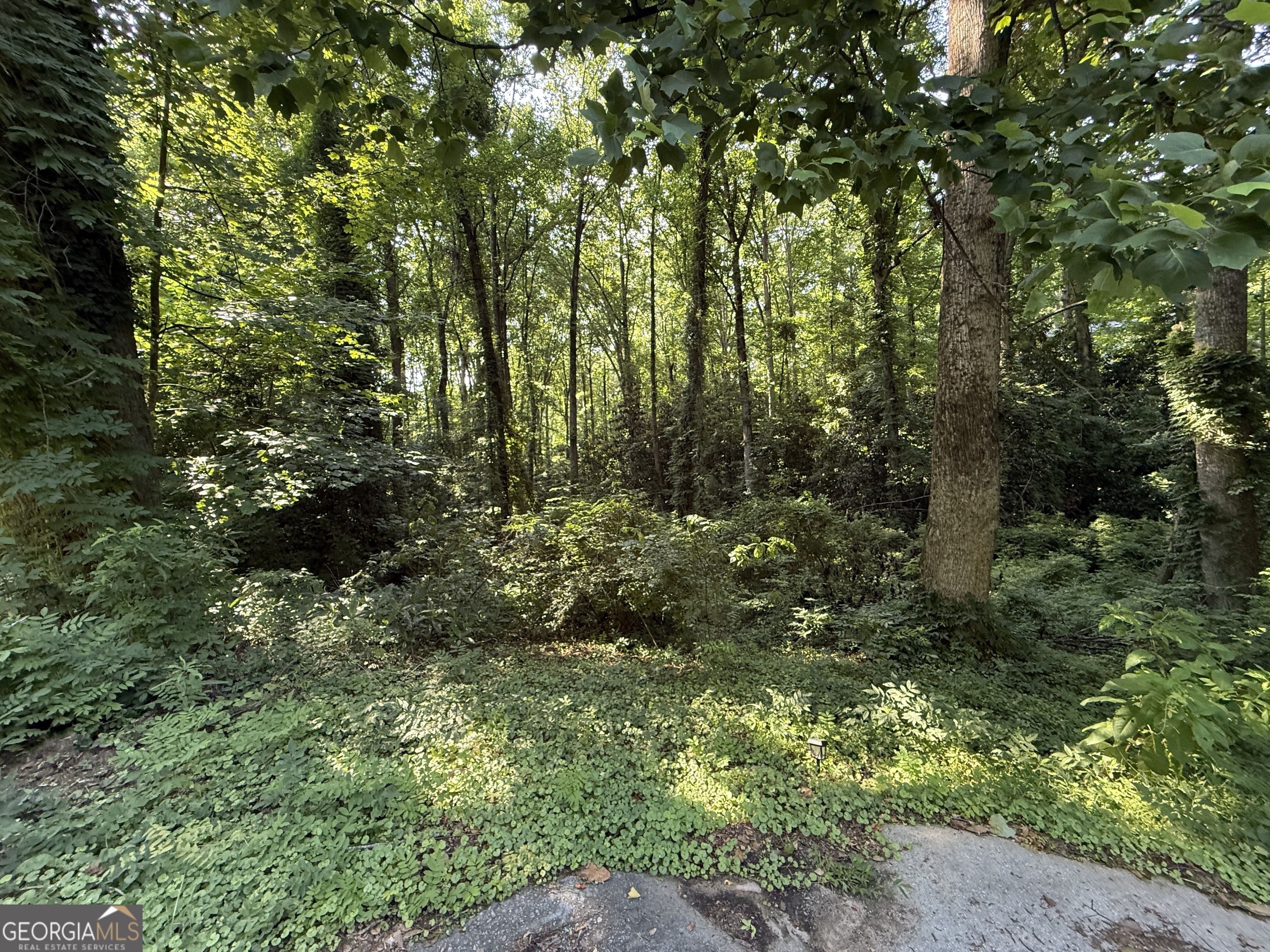 1541 Withmoor Terrace Austell GA 30168
