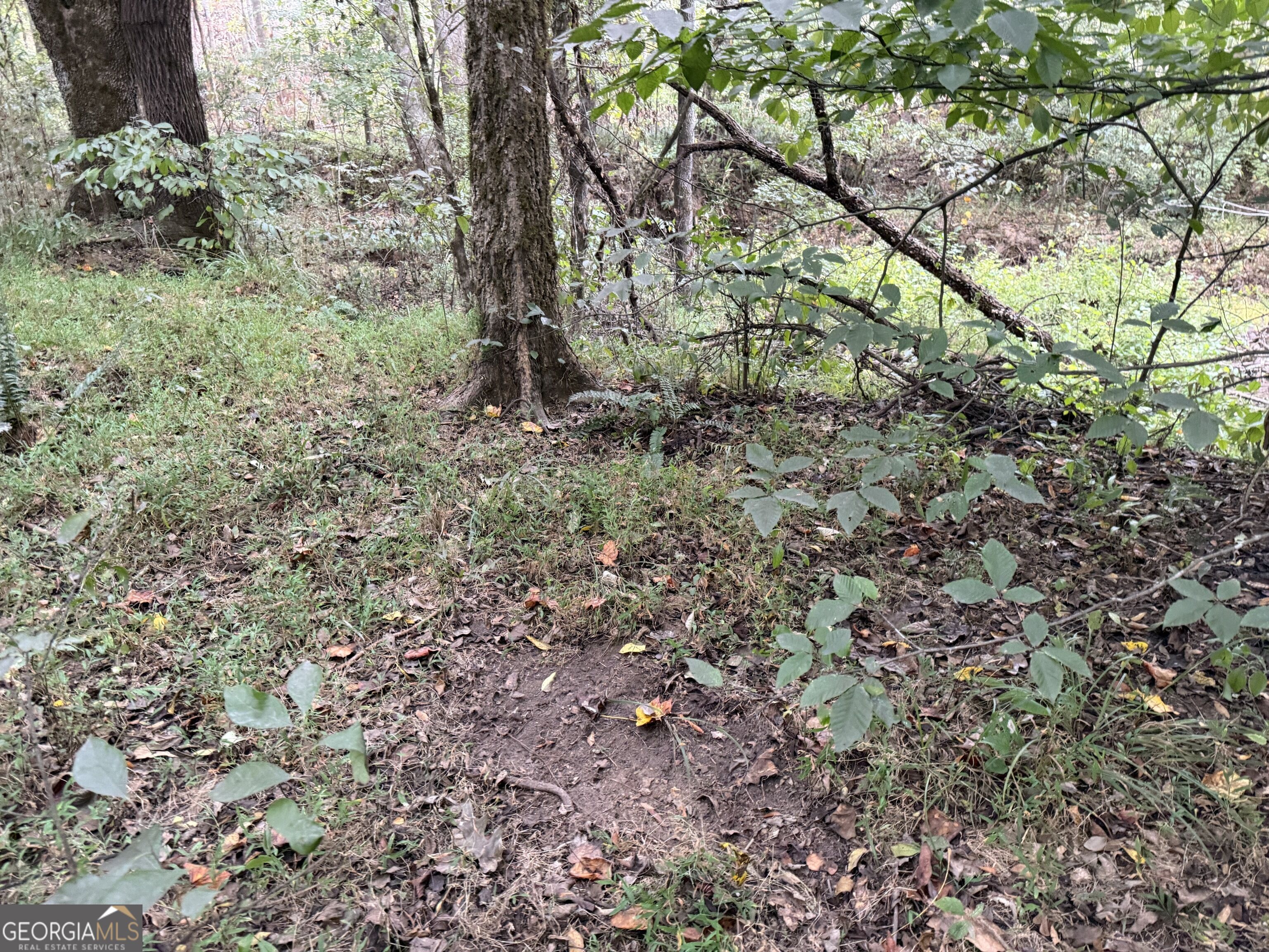 0 Adolphus Callaway Road Rayle GA 30660