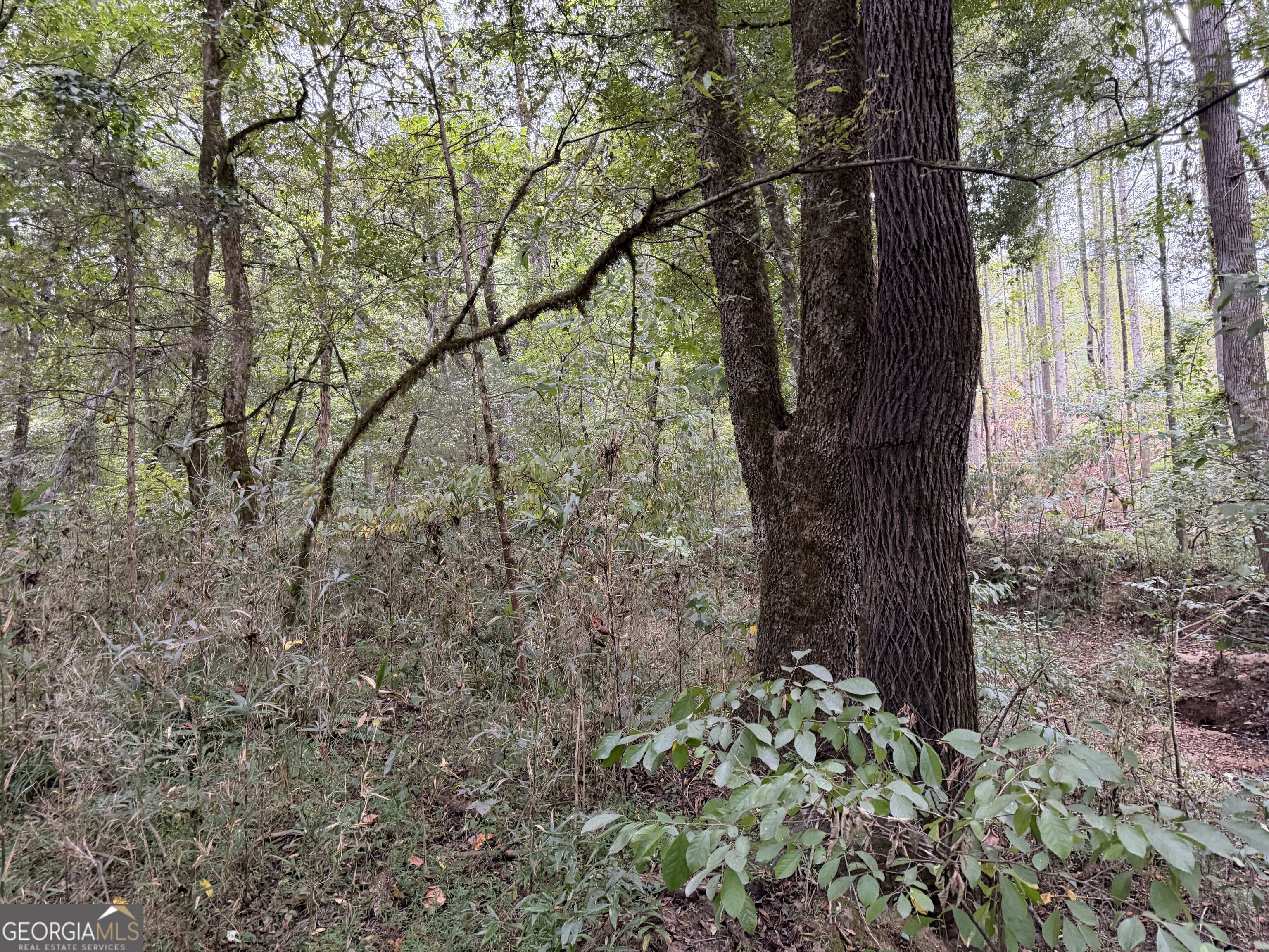 0 Adolphus Callaway Road Rayle GA 30660