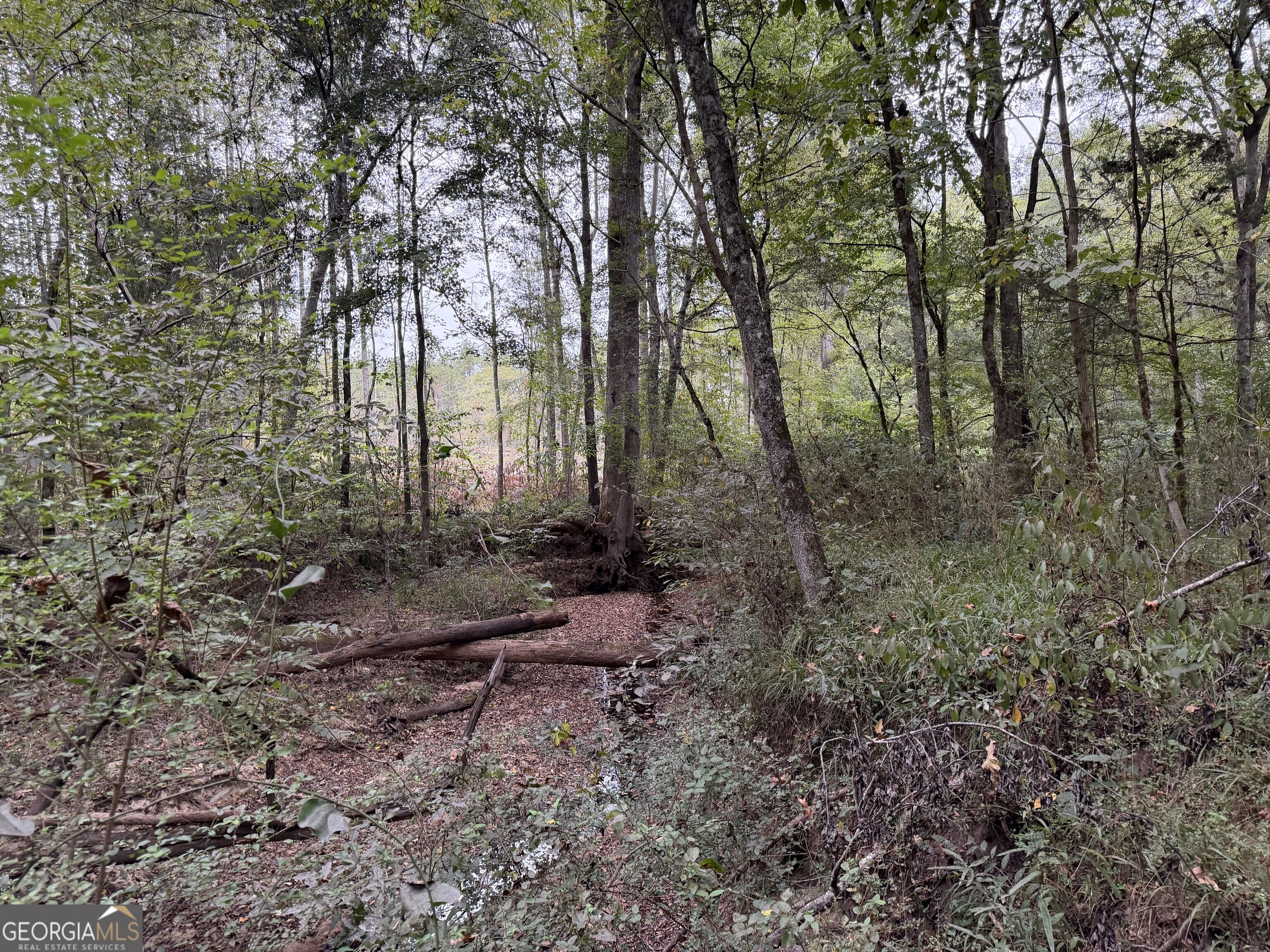 0 Adolphus Callaway Road Rayle GA 30660