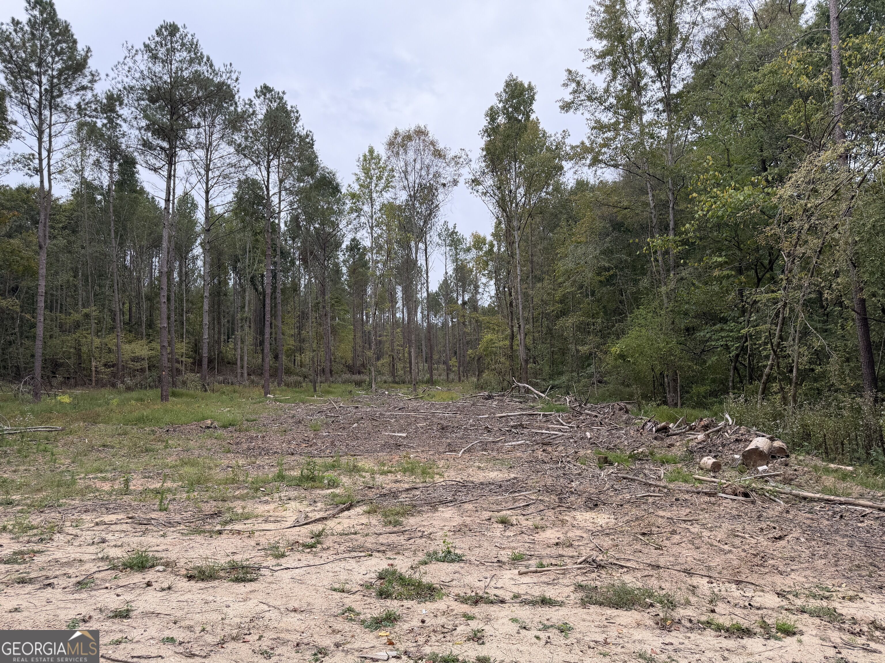 0 Adolphus Callaway Road Rayle GA 30660