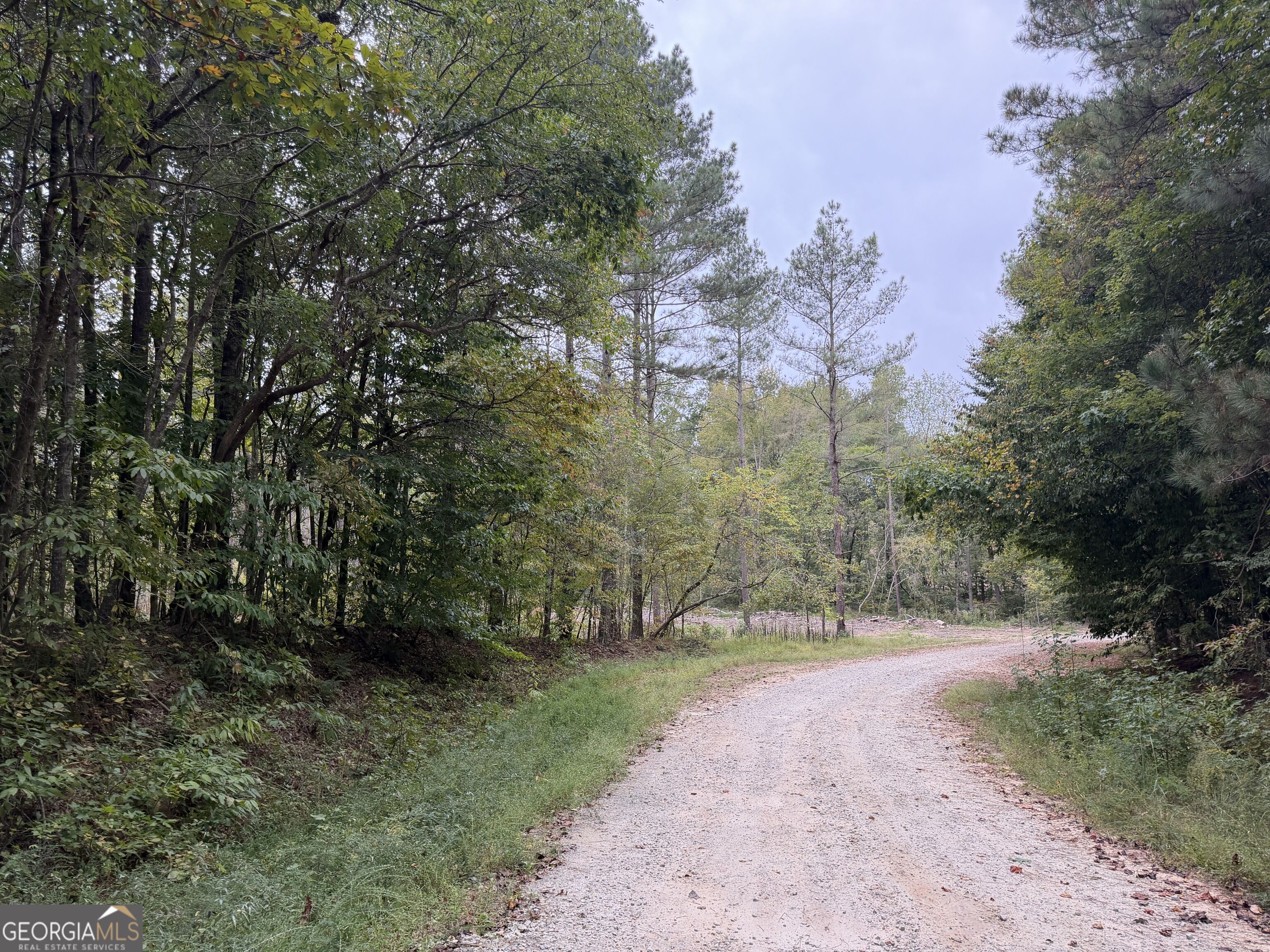 0 Adolphus Callaway Road Rayle GA 30660