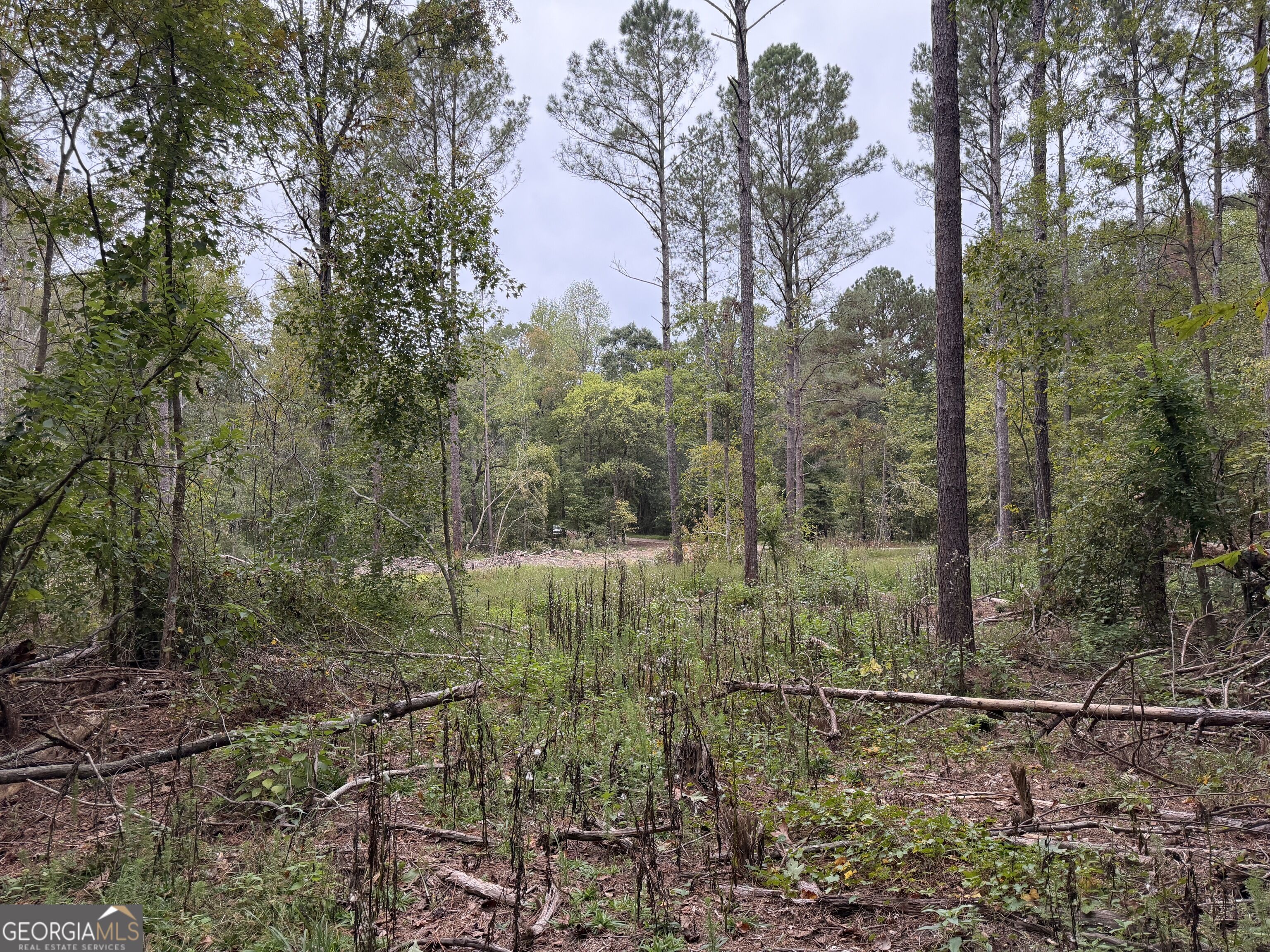 0 Adolphus Callaway Road Rayle GA 30660