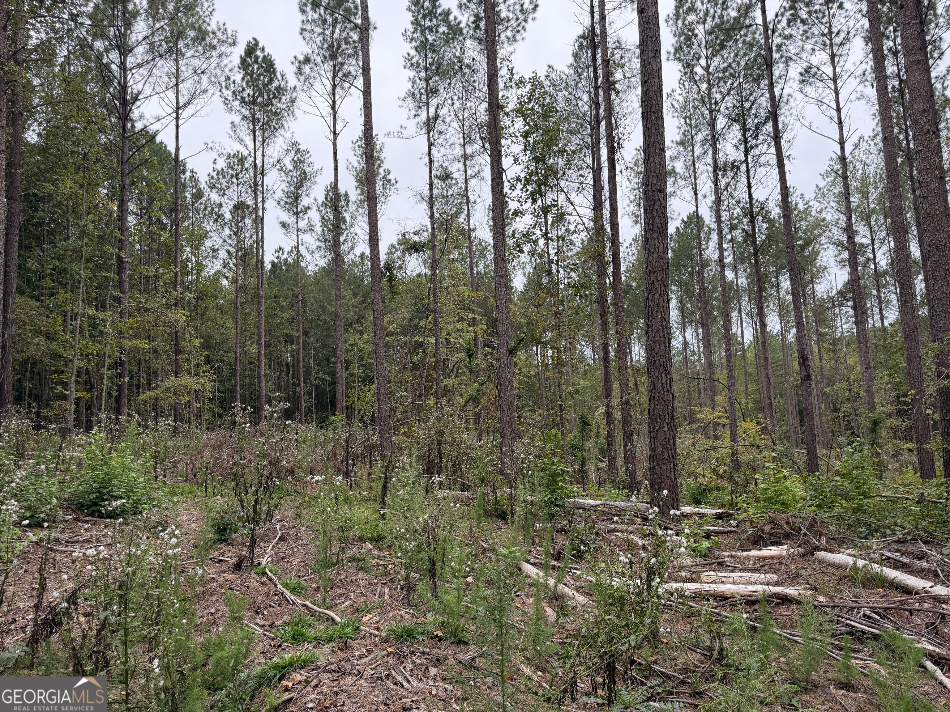 0 Adolphus Callaway Road Rayle GA 30660