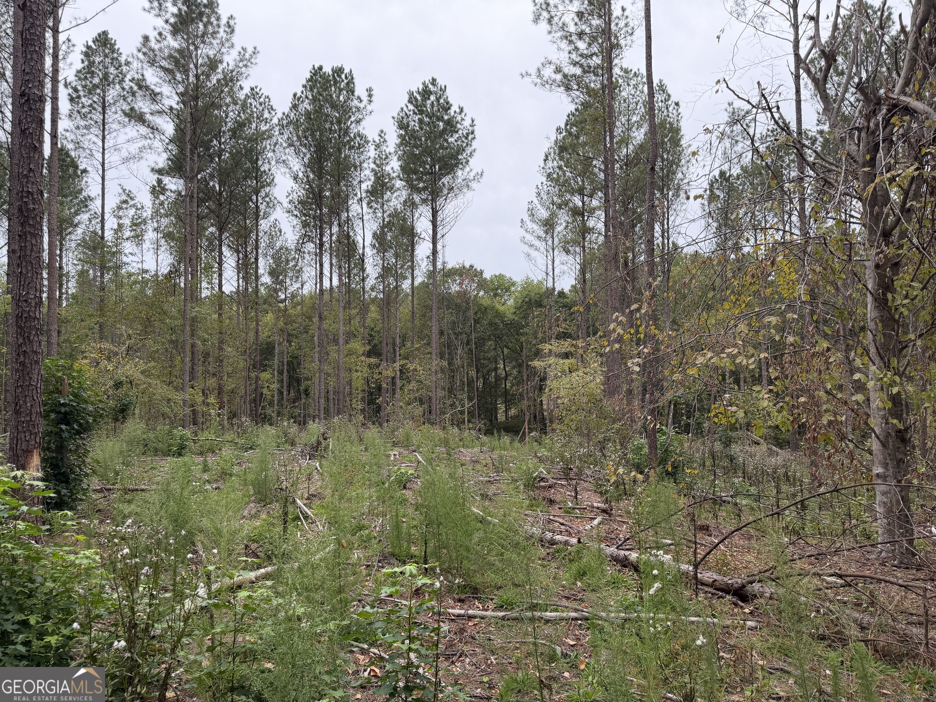 0 Adolphus Callaway Road Rayle GA 30660