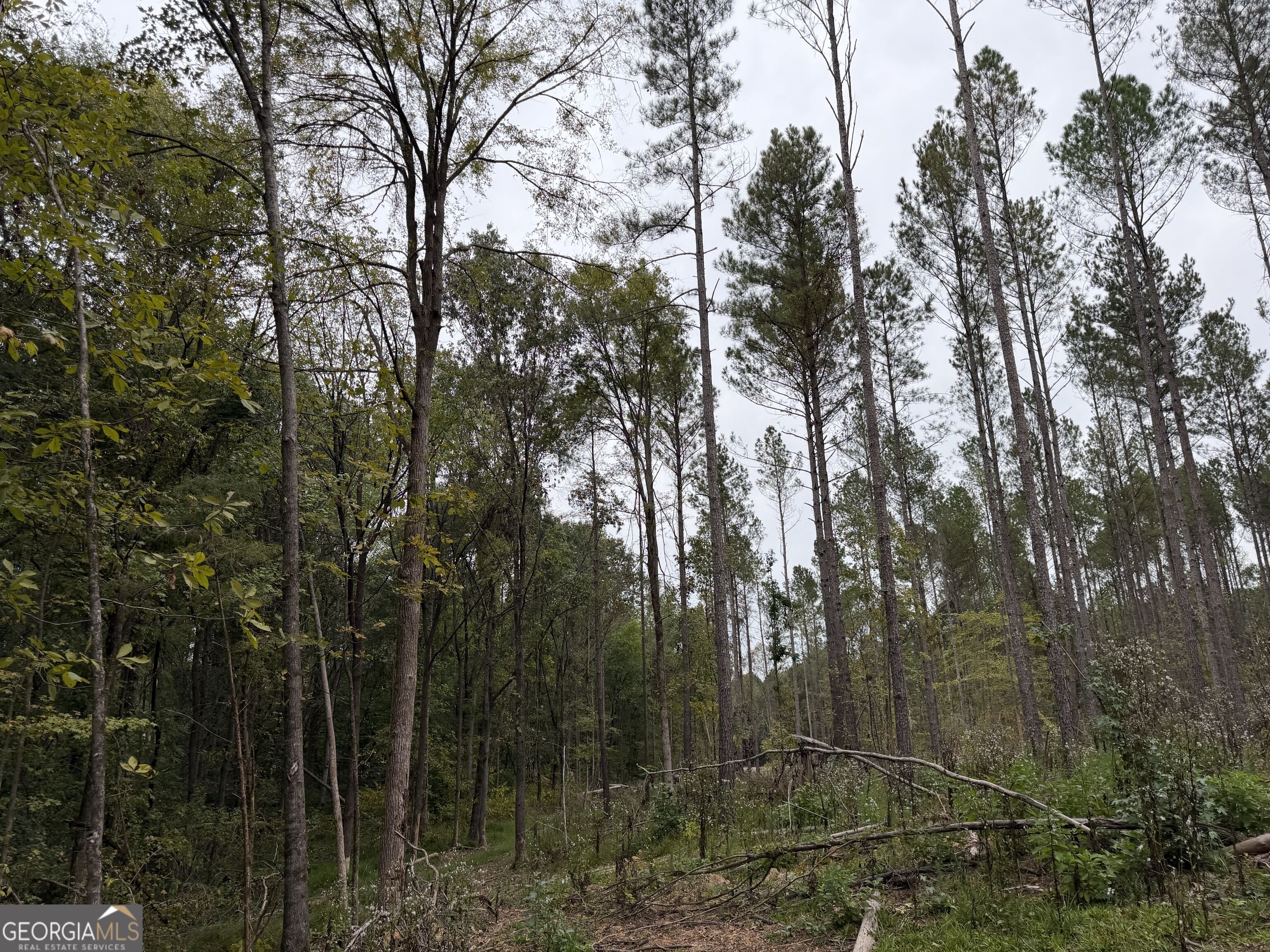 0 Adolphus Callaway Road Rayle GA 30660