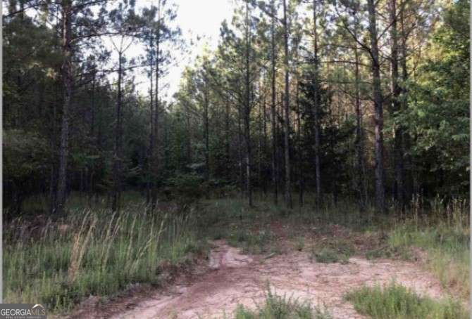 0 Lower Mill Road Crawfordville GA 30631