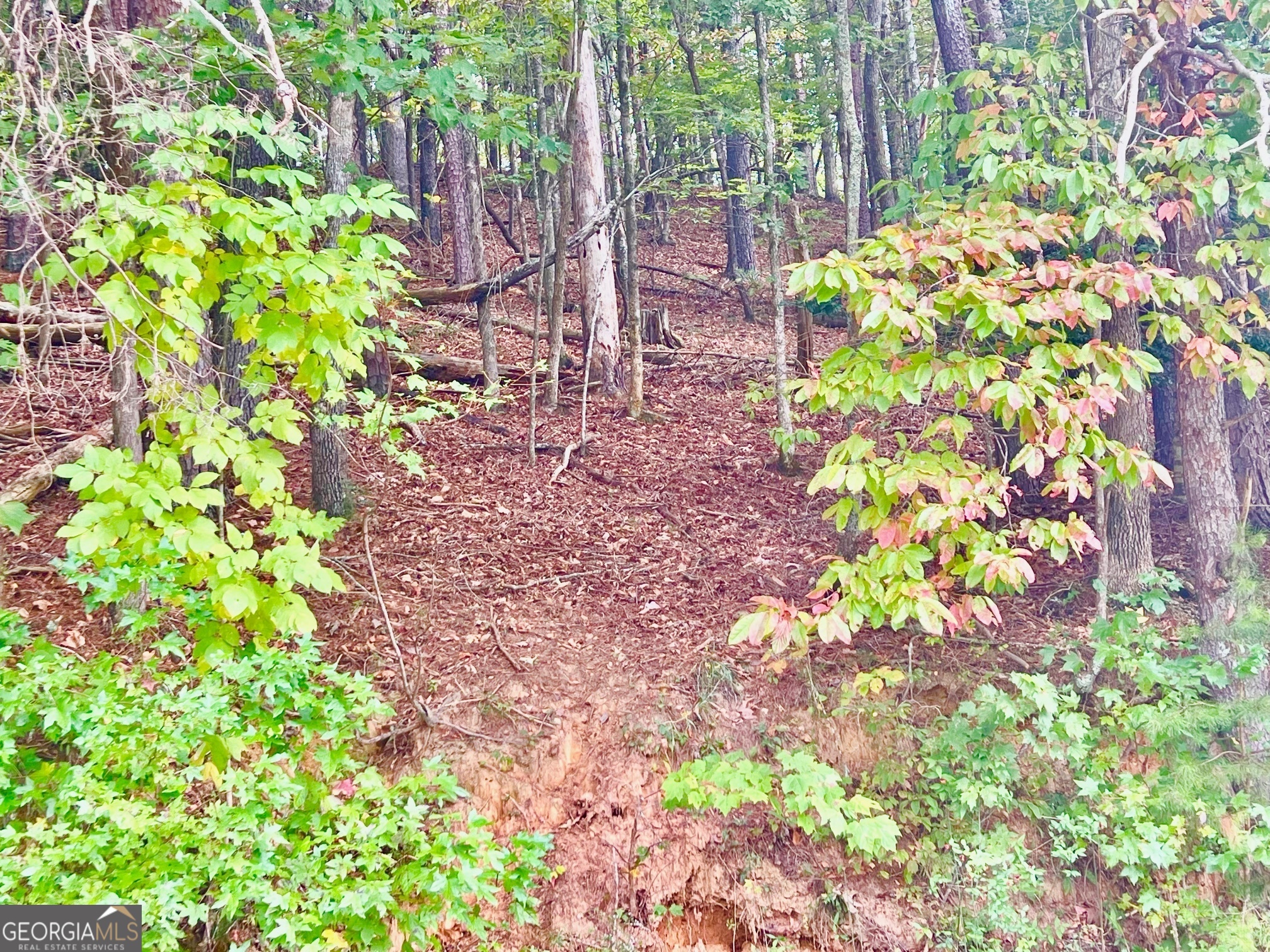 12 Cherokee Drive Ellijay GA 30540