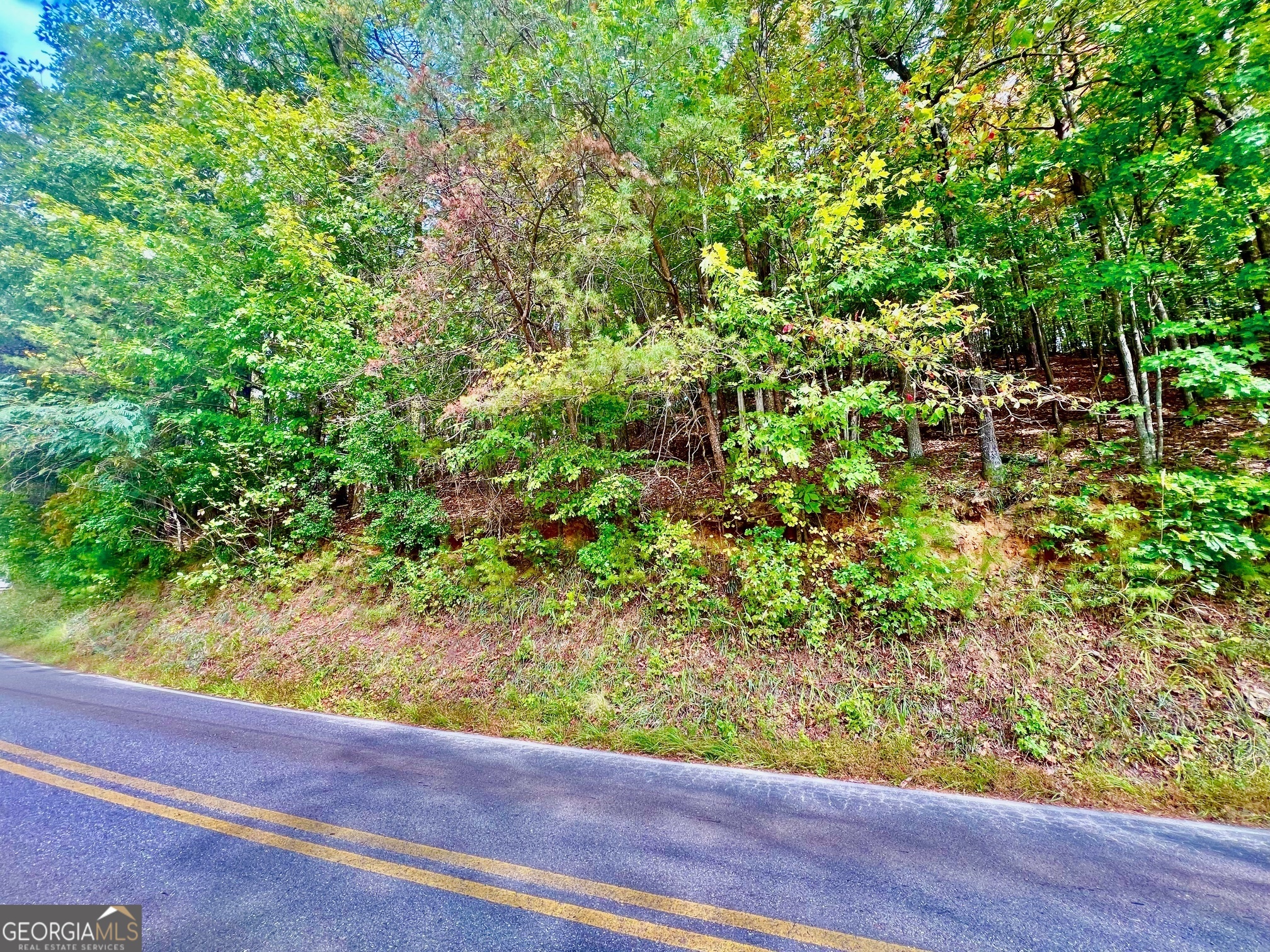 12 Cherokee Drive Ellijay GA 30540