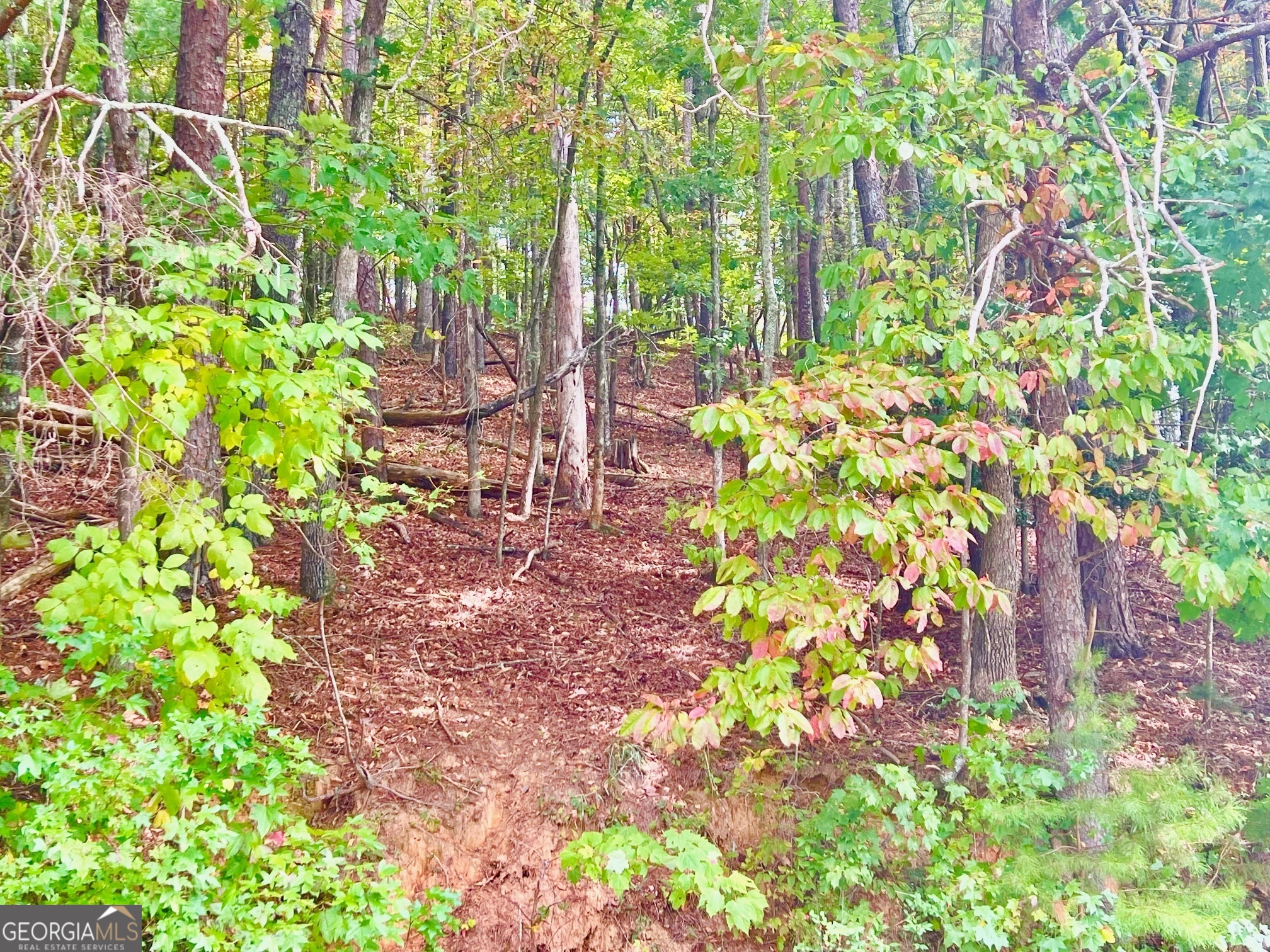 12 Cherokee Drive Ellijay GA 30540
