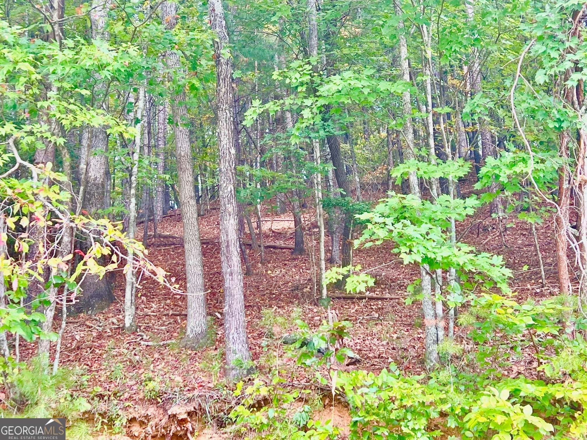 12 Cherokee Drive Ellijay GA 30540