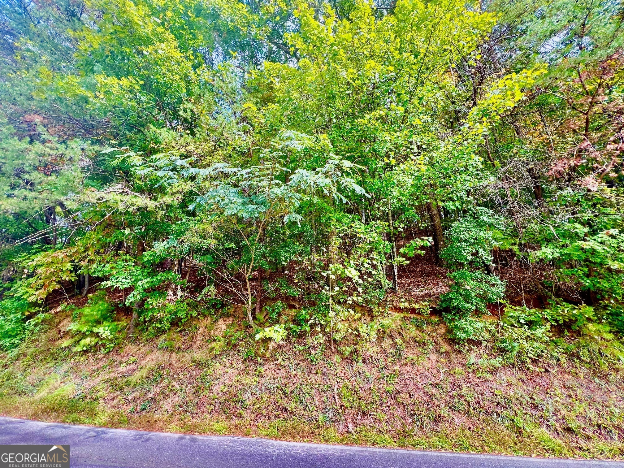 12 Cherokee Drive Ellijay GA 30540