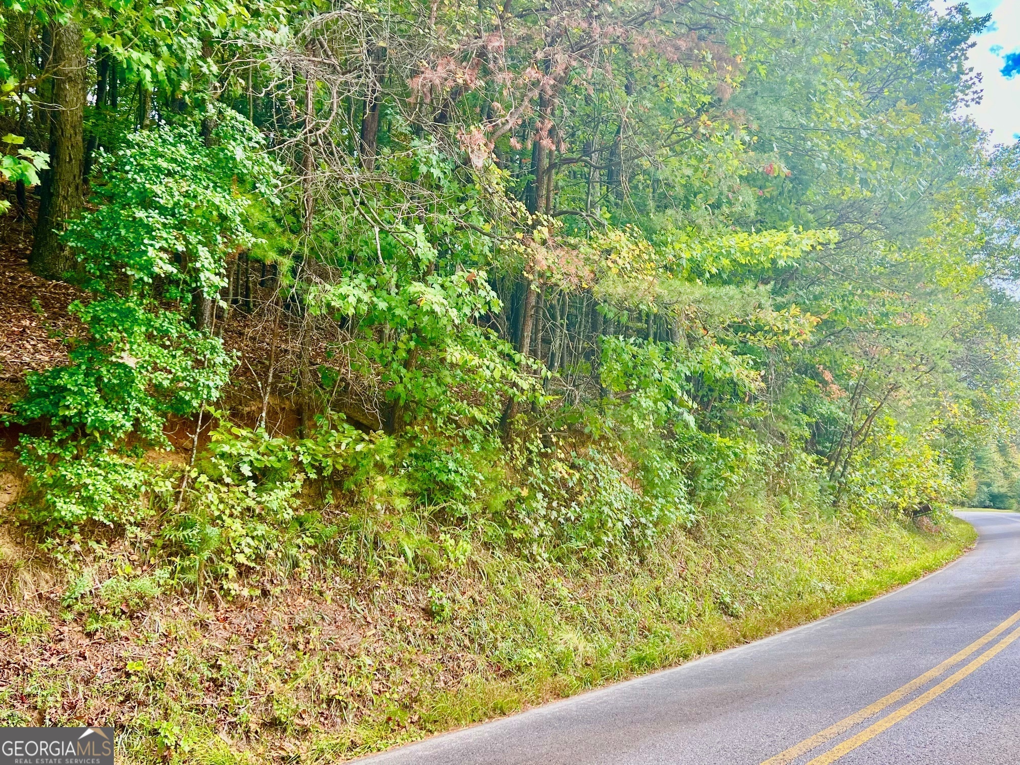 12 Cherokee Drive Ellijay GA 30540