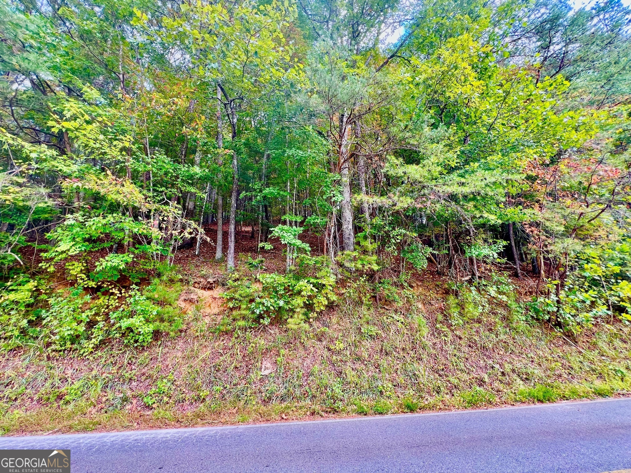 12 Cherokee Drive Ellijay GA 30540